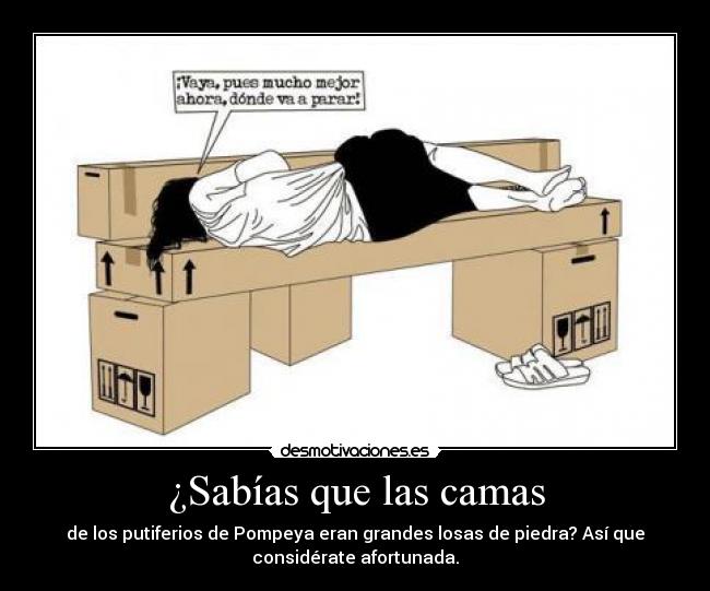 ¿Sabías que las camas - de los putiferios de Pompeya eran grandes losas de piedra? Así que
considérate afortunada.