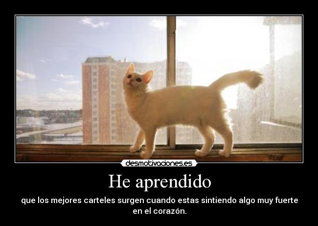 He aprendido - que los mejores carteles surgen cuando estas sintiendo algo muy fuerte en el corazón.