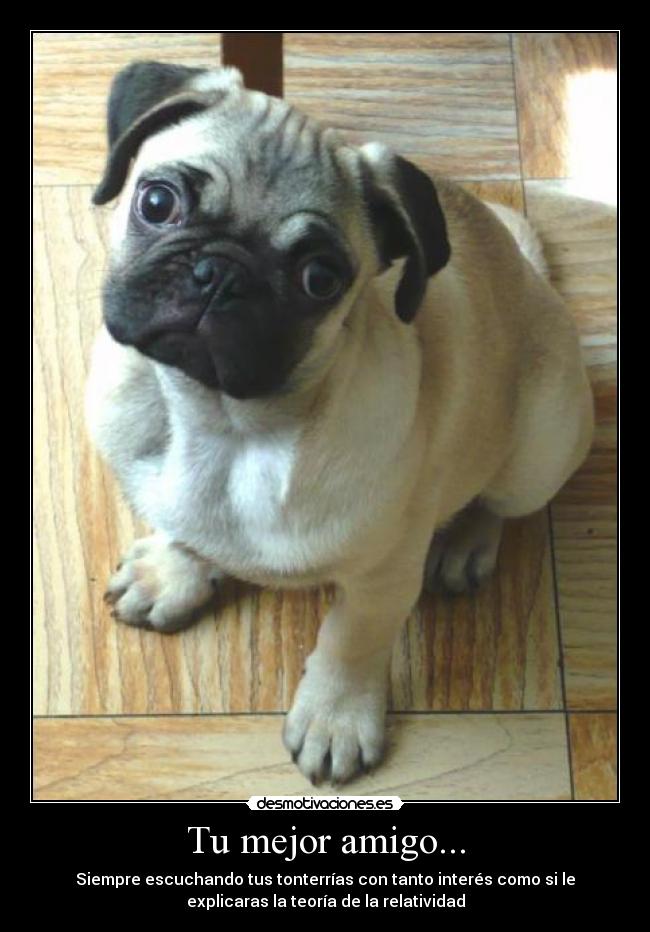 Tu mejor amigo... - Siempre escuchando tus tonterrías con tanto interés como si le
explicaras la teoría de la relatividad