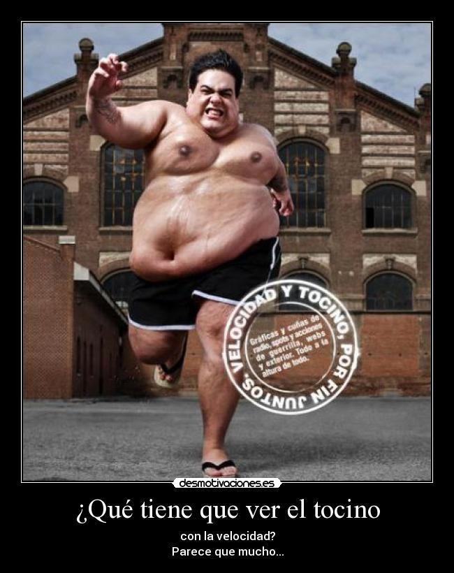 carteles refranes tocino velocidad dichos relacion desmotivaciones