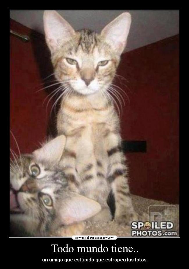 Todo mundo tiene.. - un amigo que estúpido que estropea las fotos.