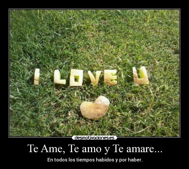 Te Ame, Te amo y Te amare... -