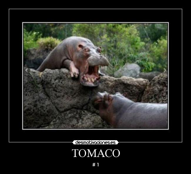 carteles tomaco desmotivaciones