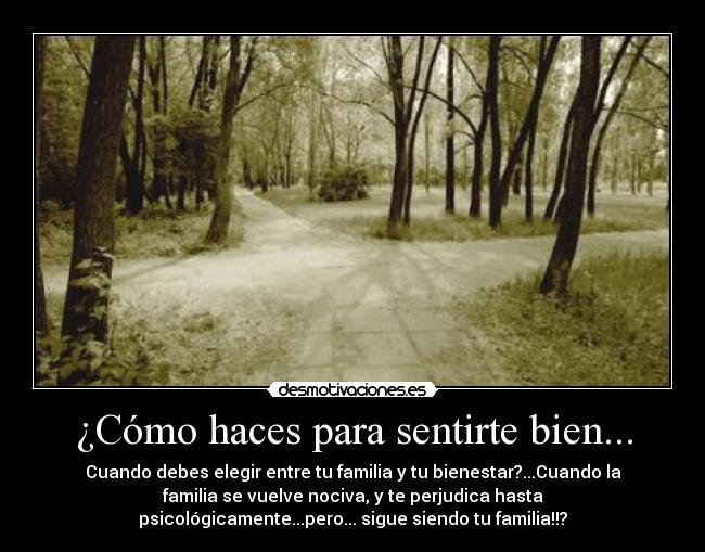 carteles nadie elige familia desmotivaciones