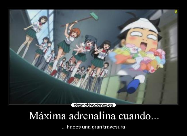 Máxima adrenalina cuando... - 