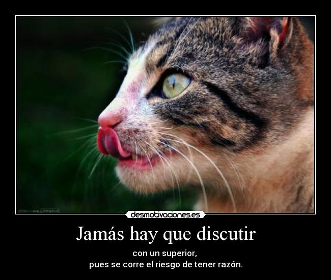 Jamás hay que discutir - con un superior,
pues se corre el riesgo de tener razón.