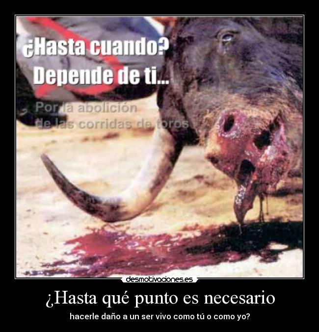 ¿Hasta qué punto es necesario -