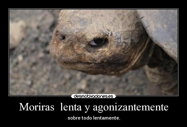 Moriras  lenta y agonizantemente - 