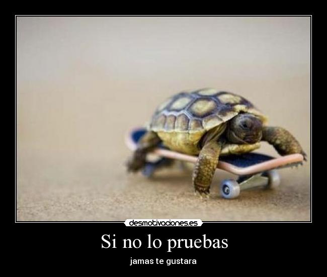 carteles sigueme twitter cuenta lgns desmotivaciones