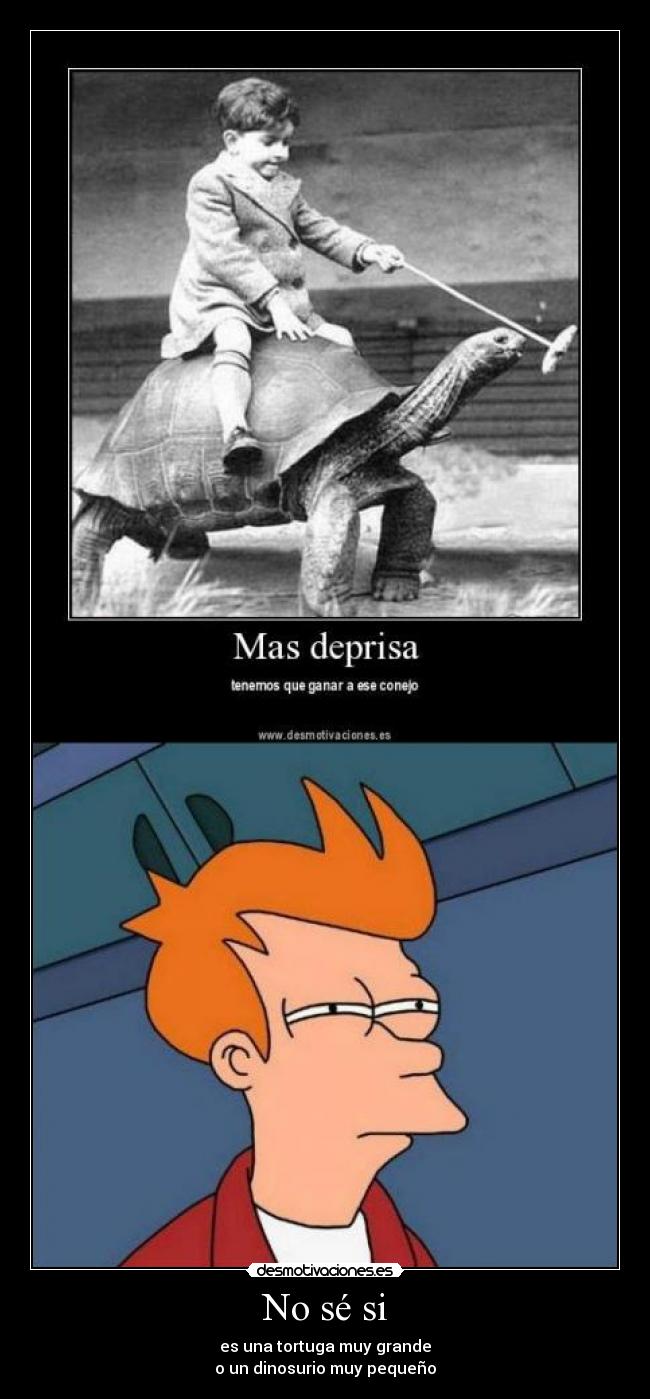 carteles ignacx tortuga dinosaurio fry meme desmotivaciones