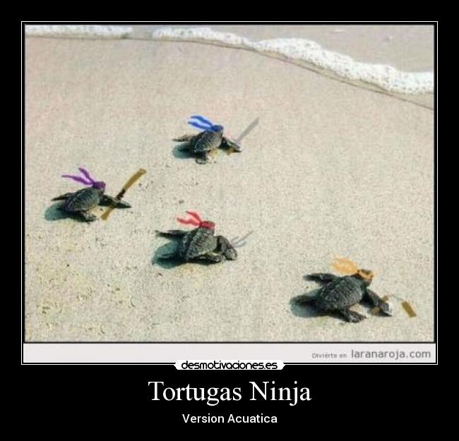 Tortugas Ninja -