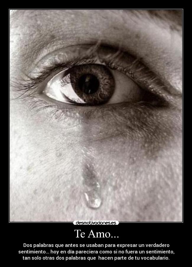 carteles amo desmotivaciones