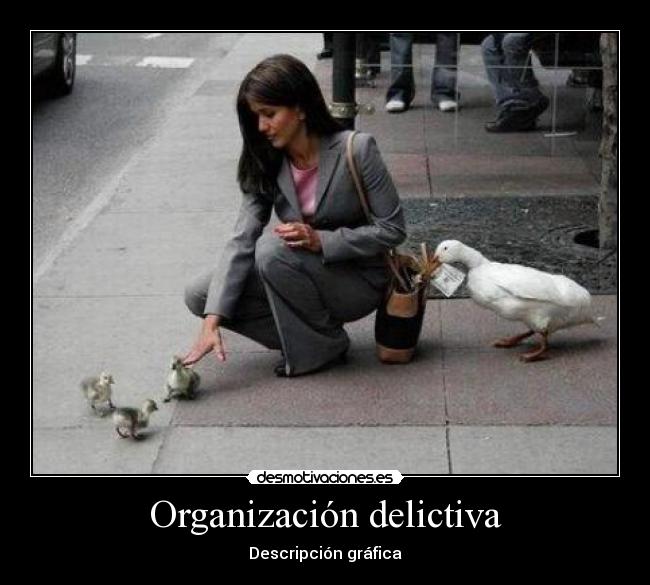 Organización delictiva - Descripción gráfica