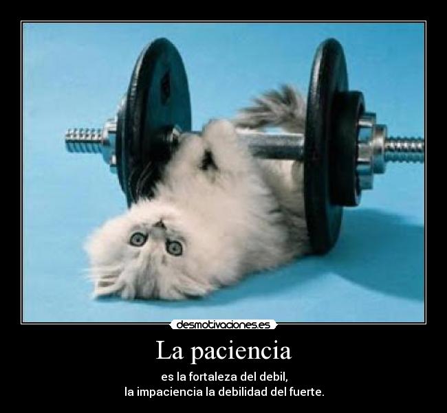 La paciencia - es la fortaleza del debil,
la impaciencia la debilidad del fuerte.