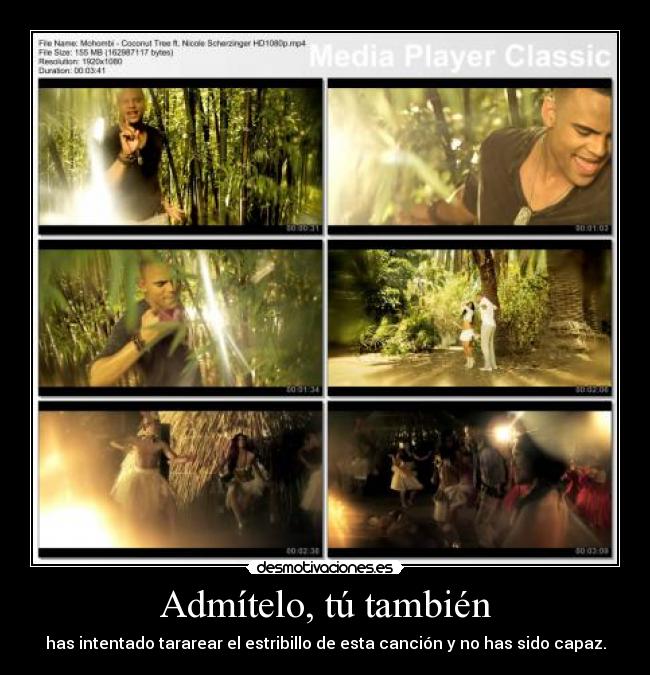 carteles coconut tree desmotivaciones