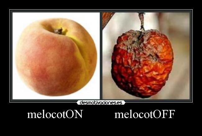 melocotON          melocotOFF - 