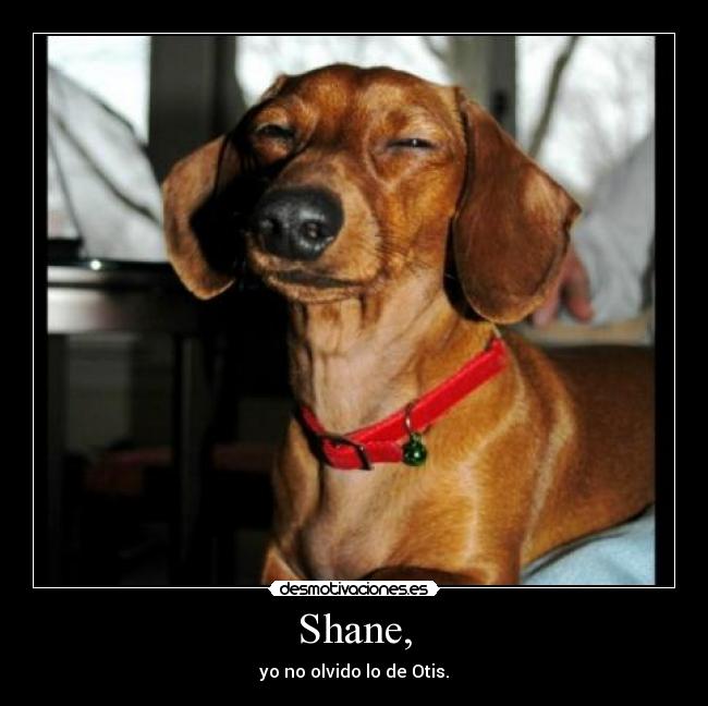 Shane, - yo no olvido lo de Otis.
