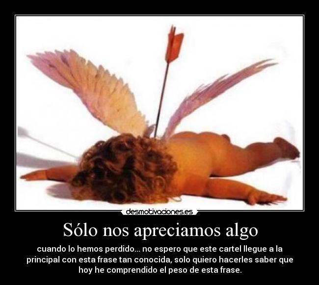 Sólo nos apreciamos algo - cuando lo hemos perdido... no espero que este cartel llegue a la
principal con esta frase tan conocida, solo quiero hacerles saber que
hoy he comprendido el peso de esta frase.