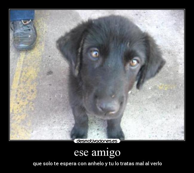 ese amigo -
