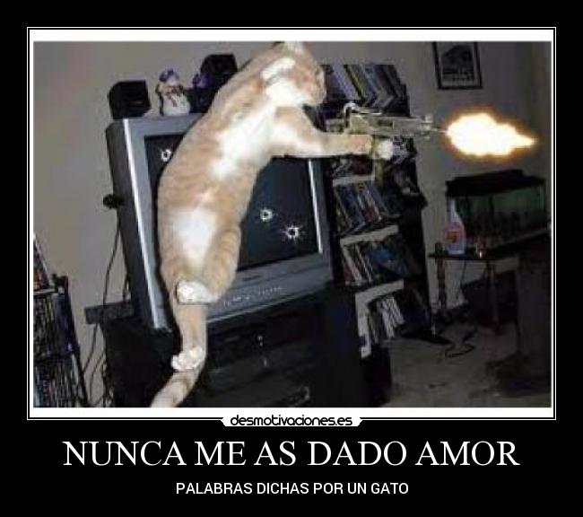 NUNCA ME AS DADO AMOR - 