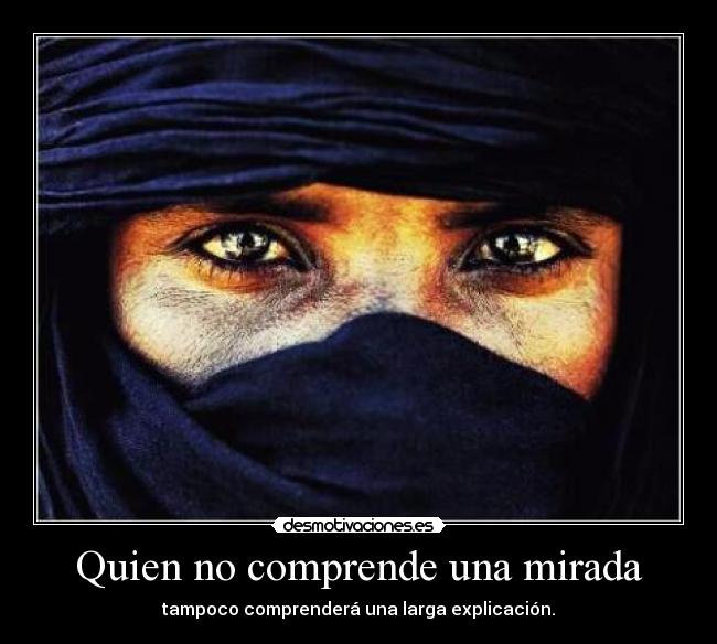 carteles quien comprende una mirada tampoco comprendera una larga explicacion desmotivaciones