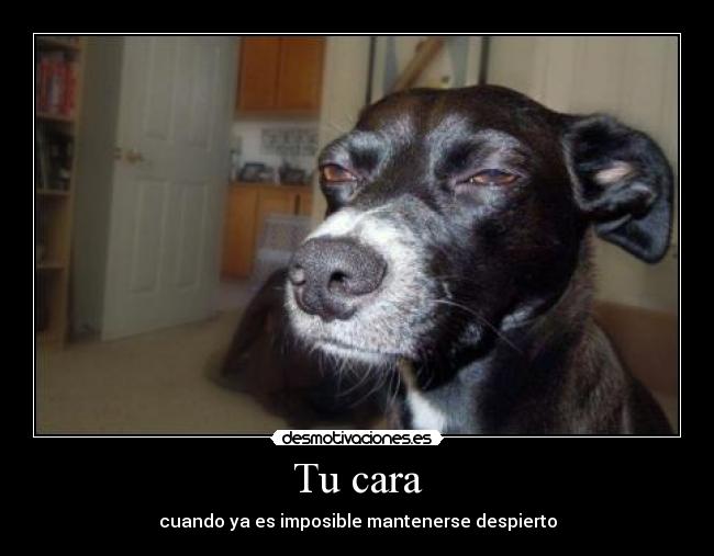 Tu cara - cuando ya es imposible mantenerse despierto