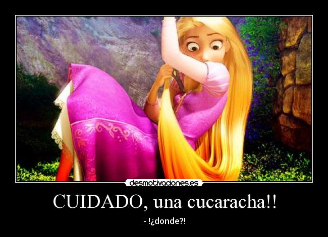 CUIDADO, una cucaracha!! -