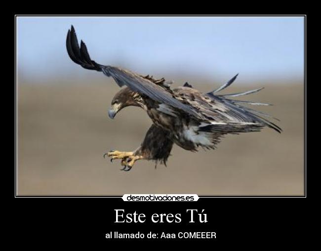 Este eres Tú - al llamado de: Aaa COMEEER