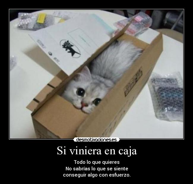 Si viniera en caja -