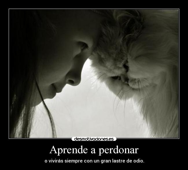 Aprende a perdonar -