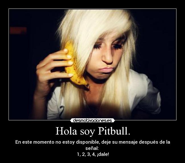 Hola soy Pitbull. - En este momento no estoy disponible, deje su mensaje después de la señal:
1, 2, 3, 4, ¡dale!