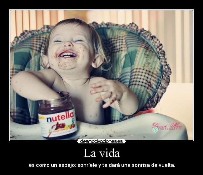 carteles vida lyta veni vidi vici desmotivaciones