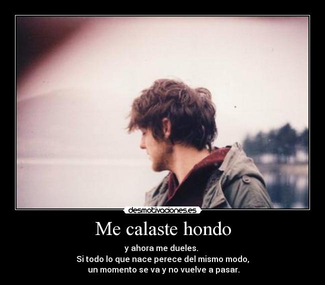 Me calaste hondo - 