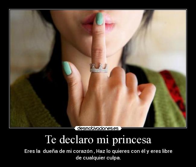 Te declaro mi princesa -