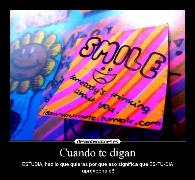 Cuando te digan - ESTUDIA, haz lo que quieras por que eso significa que ES-TU-DIA aprovechalo!!