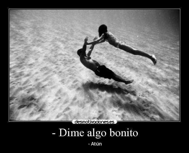- Dime algo bonito - - Atún