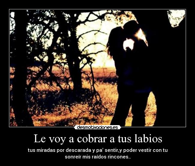 carteles voy cobrar tus labios tus miradas sinkope desmotivaciones