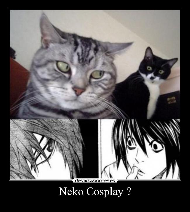 Neko Cosplay ? - 