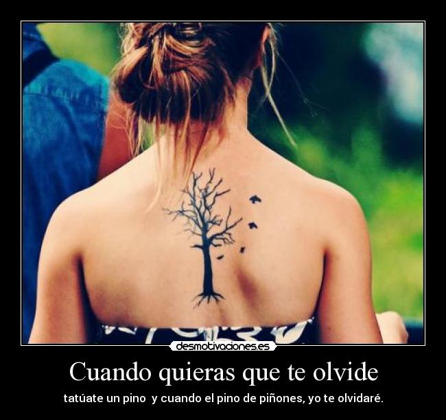 carteles podrias esperar sentada porque vas cansar esperas que olvide jajja intruders sd09 tetodo desmotivaciones