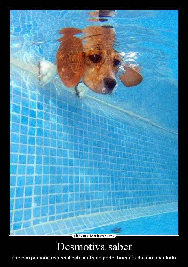 Desmotiva saber -