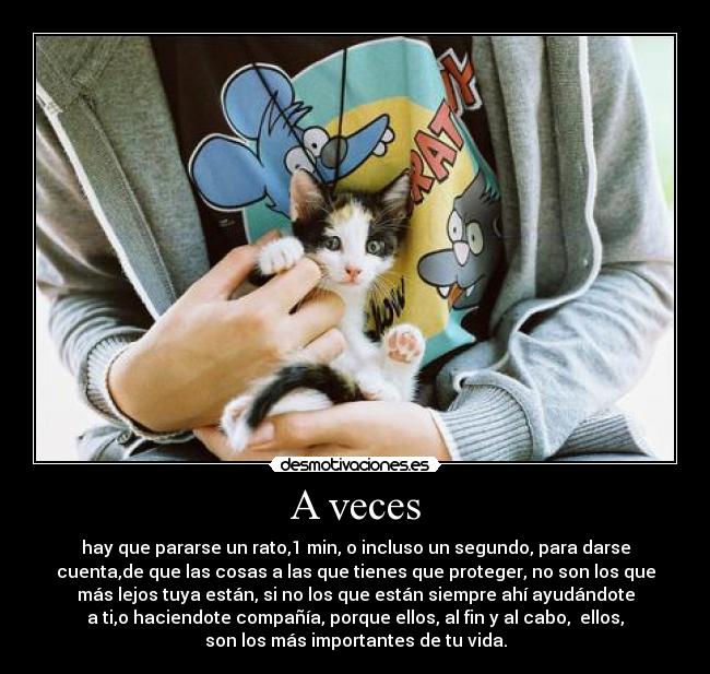 A veces - hay que pararse un rato,1 min, o incluso un segundo, para darse
cuenta,de que las cosas a las que tienes que proteger, no son los que
más lejos tuya están, si no los que están siempre ahí ayudándote
a ti,o haciendote compañía, porque ellos, al fin y al cabo,  ellos,
son los más importantes de tu vida.