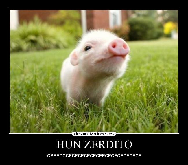 carteles gegegegee jrasioso desmotivaciones