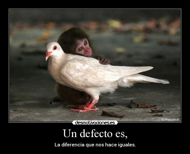 Un defecto es, - 