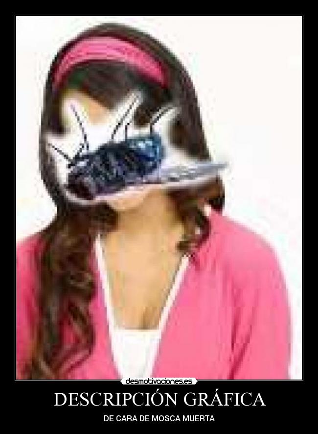 DESCRIPCIÓN GRÁFICA - 