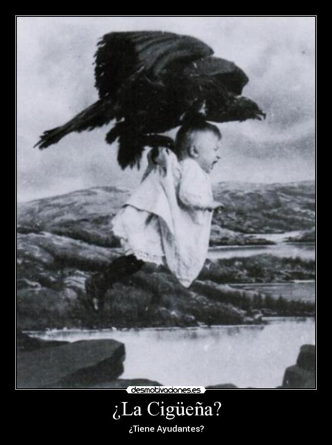 ¿La Cigüeña? - ¿Tiene Ayudantes?