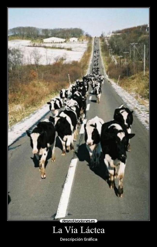 La Vía Láctea -