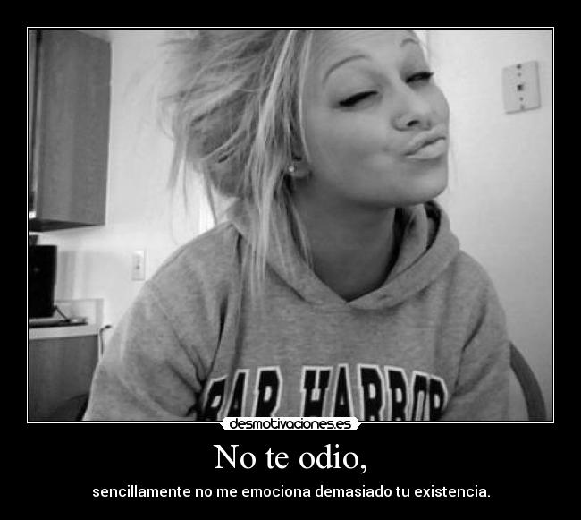 carteles odio lyta siipiiacarme esta tia choni desmotivaciones