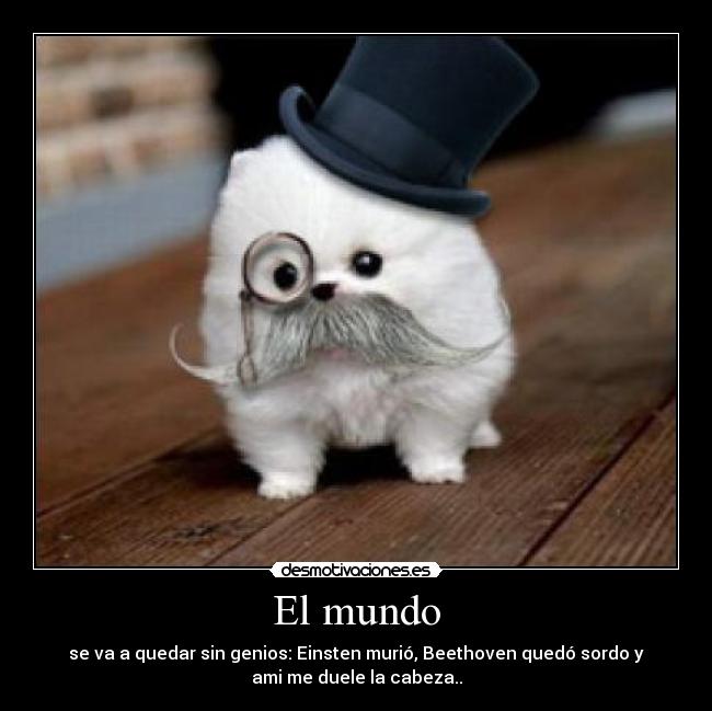 carteles mundo sabiduria desmotivaciones