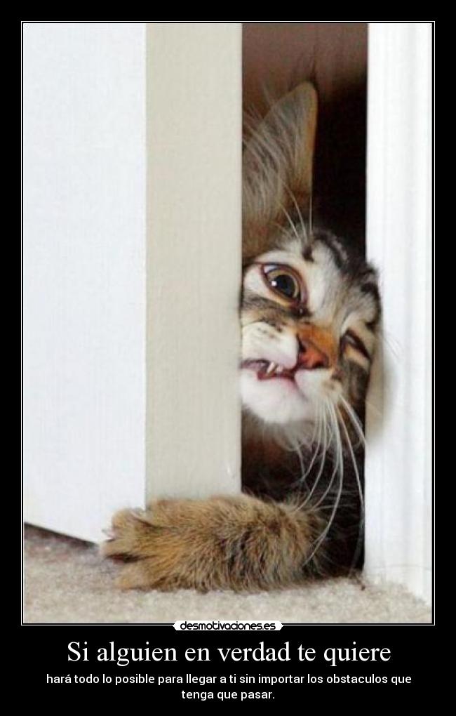 Si alguien en verdad te quiere - 