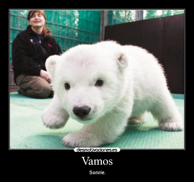 Vamos - Sonríe.